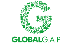 acreditación globalstd